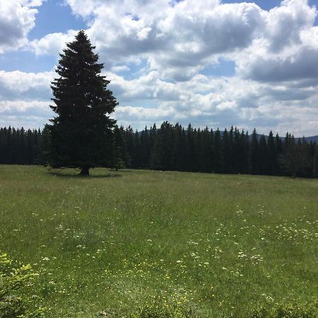 Apartman Kvilda 126 Kültér fotó