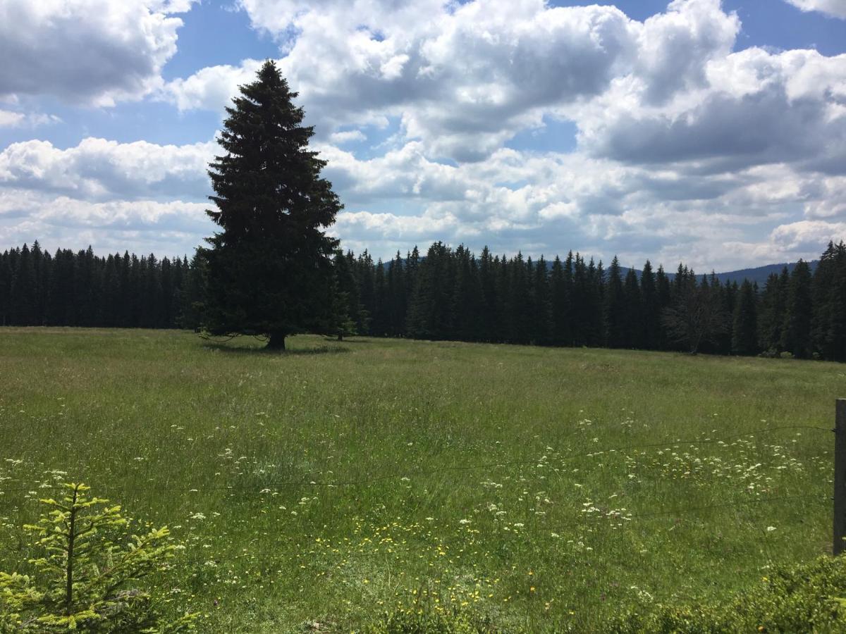 Apartman Kvilda 126 Kültér fotó
